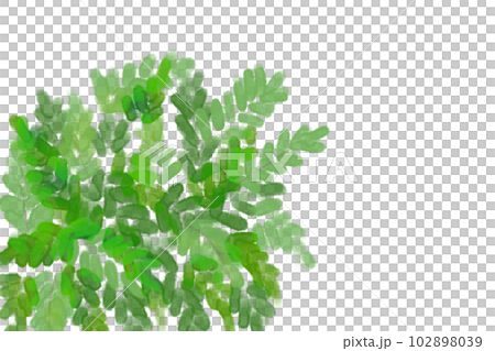 含羞草(オジギソウ)の花カード2 含羞草(オジギソウ)の花カード2 102898039