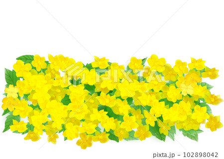 山吹の花畑 102898042