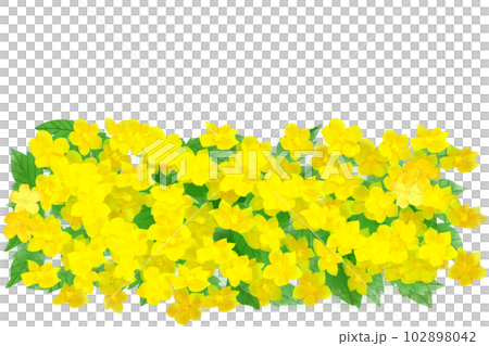 山吹の花畑 102898042