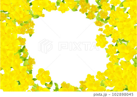 山吹の花フレーム2 102898045