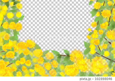 Yamabuki flower frame 3 102898046