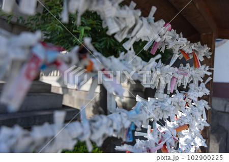 富岡八幡宮の納札所で結ばれたおみくじ 富岡八幡宮の納札所で結ばれたおみくじ 102900225