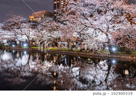 《東京都》桜満開の不忍池・春の上野公園 102900339