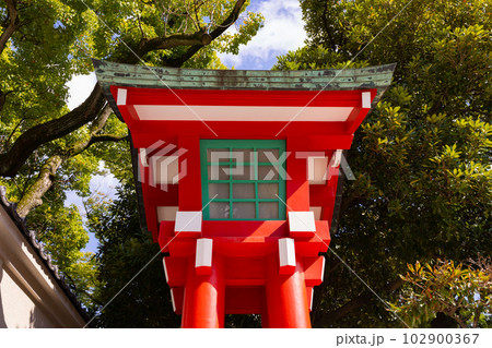 富岡八幡宮の赤い灯籠【伝統イメージ】 富岡八幡宮の赤い灯籠【伝統イメージ】 102900367