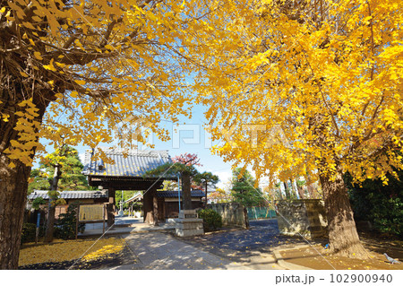 浄土宗宝林山運昌院 泉澤寺 浄土宗宝林山運昌院 泉澤寺 102900940