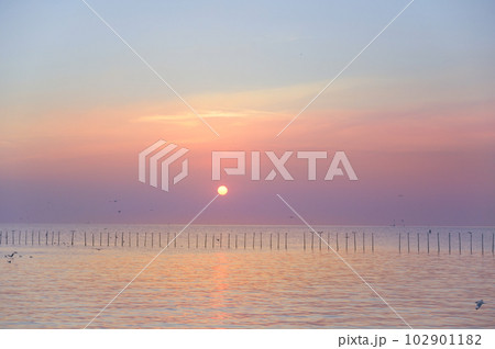 beautiful sunset in a twilight scene with seagulls flying above the sea. beautiful sunset in a twilight scene with seagulls flying above the sea. 102901182