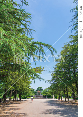 青空の鶴舞公園、噴水塔〈愛知県名古屋市〉 青空の鶴舞公園、噴水塔〈愛知県名古屋市〉 102901681