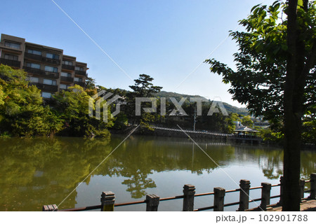 【神戸市 御影】緑が綺麗な初夏の深田池 102901788