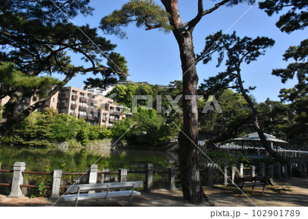 【神戸市 御影】緑が綺麗な初夏の深田池 【神戸市 御影】緑が綺麗な初夏の深田池 102901789