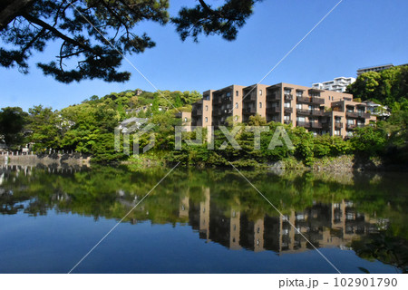 【神戸市 御影】緑が綺麗な初夏の深田池 【神戸市 御影】緑が綺麗な初夏の深田池 102901790