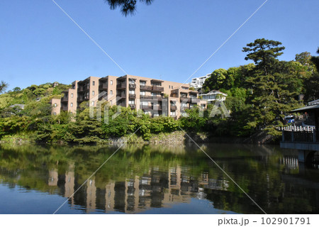 【神戸市 御影】緑が綺麗な初夏の深田池 102901791