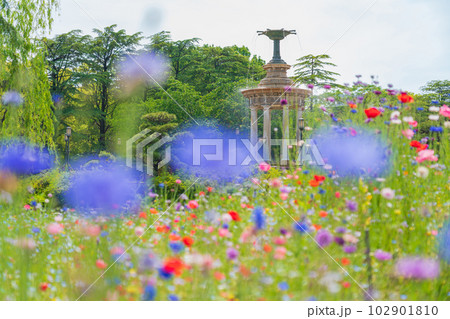 新緑の鶴舞公園、噴水塔〈愛知県名古屋市〉 新緑の鶴舞公園、噴水塔〈愛知県名古屋市〉 102901810