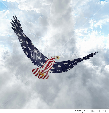 Eagle in US national colors 102901974