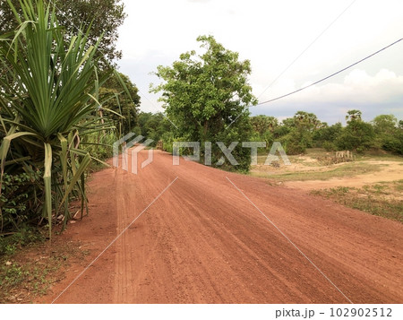 カンボジアの古代の王道(赤土の道) カンボジアの古代の王道(赤土の道) 102902512