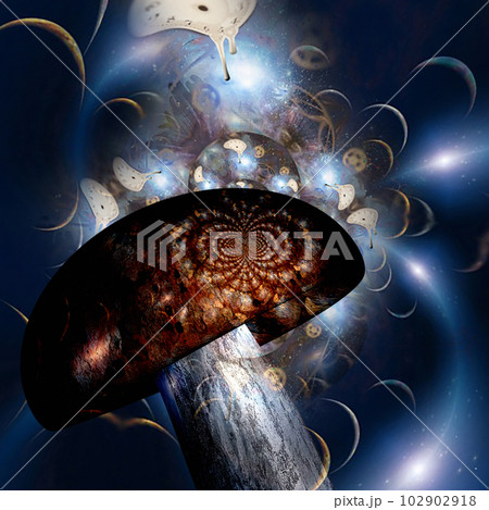 Mushroom visions Mushroom visions 102902918