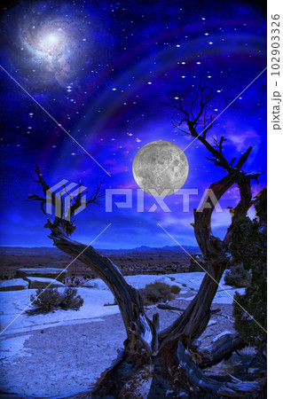 Desert Twilight Desert Twilight 102903326