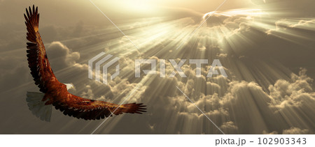 Eagle in clouds 102903343