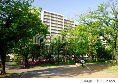 本町児童公園 102903859