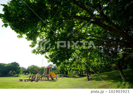 和光樹林公園 102903925