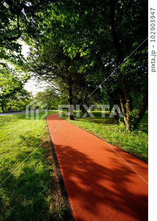 和光樹林公園 102903947