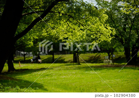 練馬区立 大泉さくら運動公園 102904380