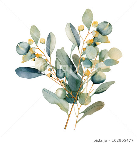 Watercolor green and golden eucalyptus leaves. Illustration AI Generative Watercolor green and golden eucalyptus leaves. Illustration AI Generative 102905477
