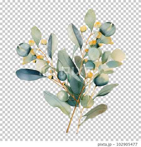 Watercolor green and golden eucalyptus leaves. Illustration AI Generative Watercolor green and golden eucalyptus leaves. Illustration AI Generative 102905477
