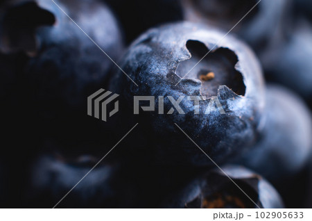 Blueberry background, close-up. Blueberry, macro. Background of many fresh blueberries. Beautiful poster or wallpaper with blueberries 102905633