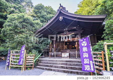 武州白子熊野神社 102906285