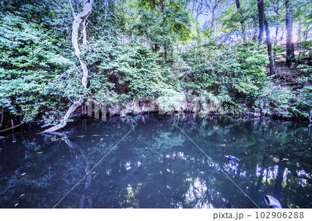 武州白子熊野神社 102906288