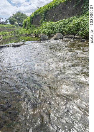 赤池親水公園 102906387