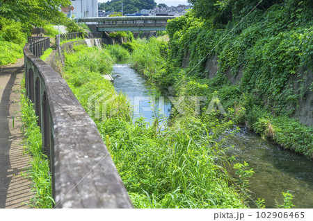 赤池親水公園 102906465