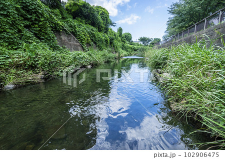 赤池親水公園 102906475