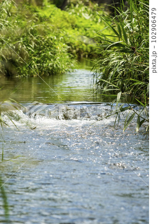 赤池親水公園 102906479