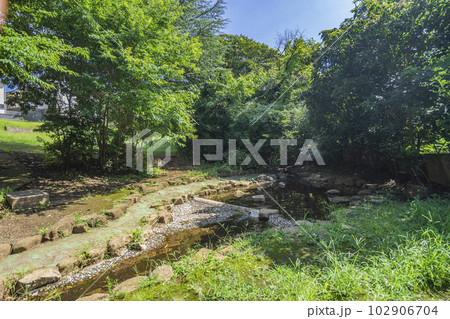 柿ノ木坂湧水公園 102906704