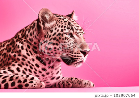 A fabulous pink leopard on a pink background, Generative AI 102907664