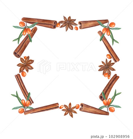 Watercolor frame of cinnamons, star anise, sea buckthorn isolated on white. Christmas and New Year illustration of orange berries and brown spices for greetings, cards, package, spice shop. 102908956