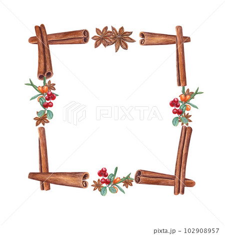Watercolor frame of cinnamons, star anise, sea buckthorn, cranberries isolated on white. Christmas and New Year illustration of orange, red berries and brown spices for greetings, cards, package 102908957