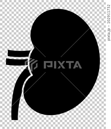 人體腎臟剪影 人體腎臟剪影 102911732