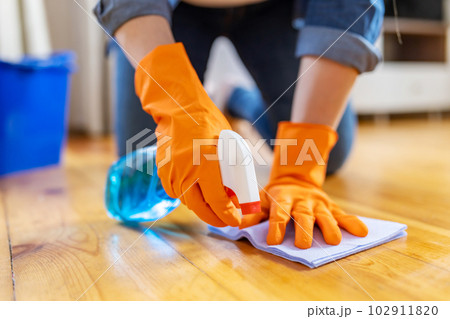 Woman in rubber gloves wiping up dust with spray and rag while cleaning floor Woman in rubber gloves wiping up dust with spray and rag while cleaning floor 102911820