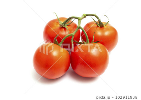 Four red fresh tomatoes on a branch isolated on white background Four red fresh tomatoes on a branch isolated on white background 102911938