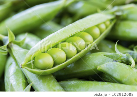 Green peas. Close up of green fresh peas and pea pods Green peas. Close up of green fresh peas and pea pods 102912088