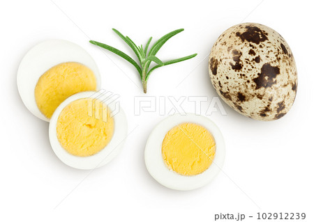 boiled quail egg isolated on white background with full depth of field. Top view. Flat lay 102912239