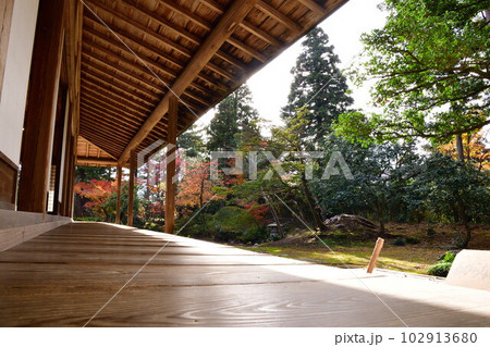 日本庭園と紅葉(新潟県) 日本庭園と紅葉(新潟県) 102913680