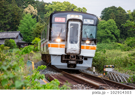 【紀勢本線】雨の新緑の中を通過する快速みえ 【紀勢本線】雨の新緑の中を通過する快速みえ 102914303