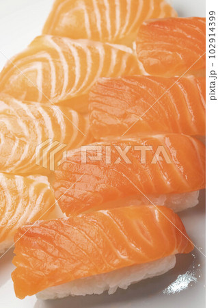 新鮮で美味しい生サーモンとトラウトサーモンの握り寿司 102914399