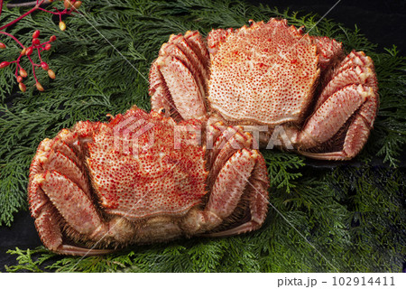 美味しい毛蟹 美味しい毛蟹 102914411