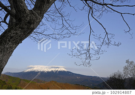 開田高原地蔵峠からの御嶽山 102914807