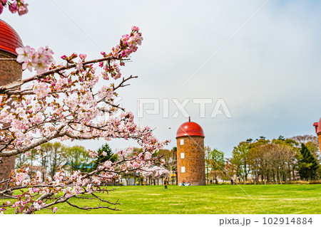 北海道 根室市の春の明治公園 北海道 根室市の春の明治公園 102914884