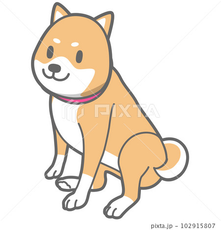 お座りする柴犬のベクターイラスト 102915807